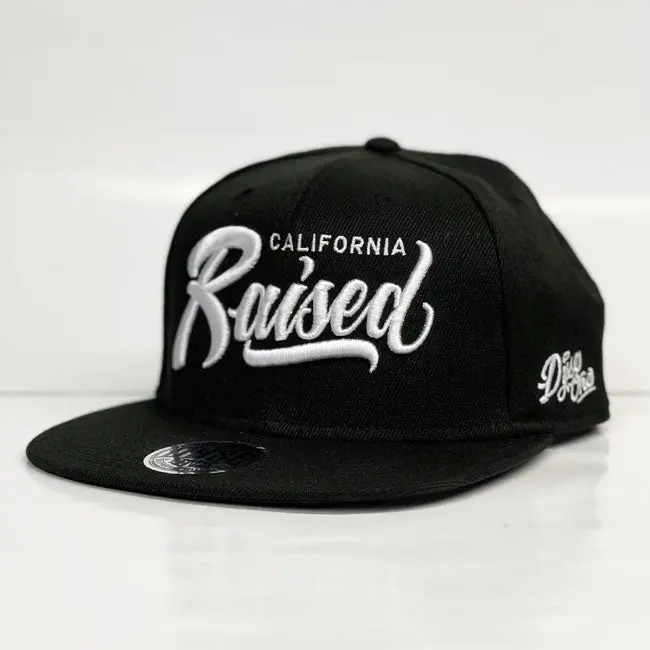 Dyse One Snapback - Ca Raised 1