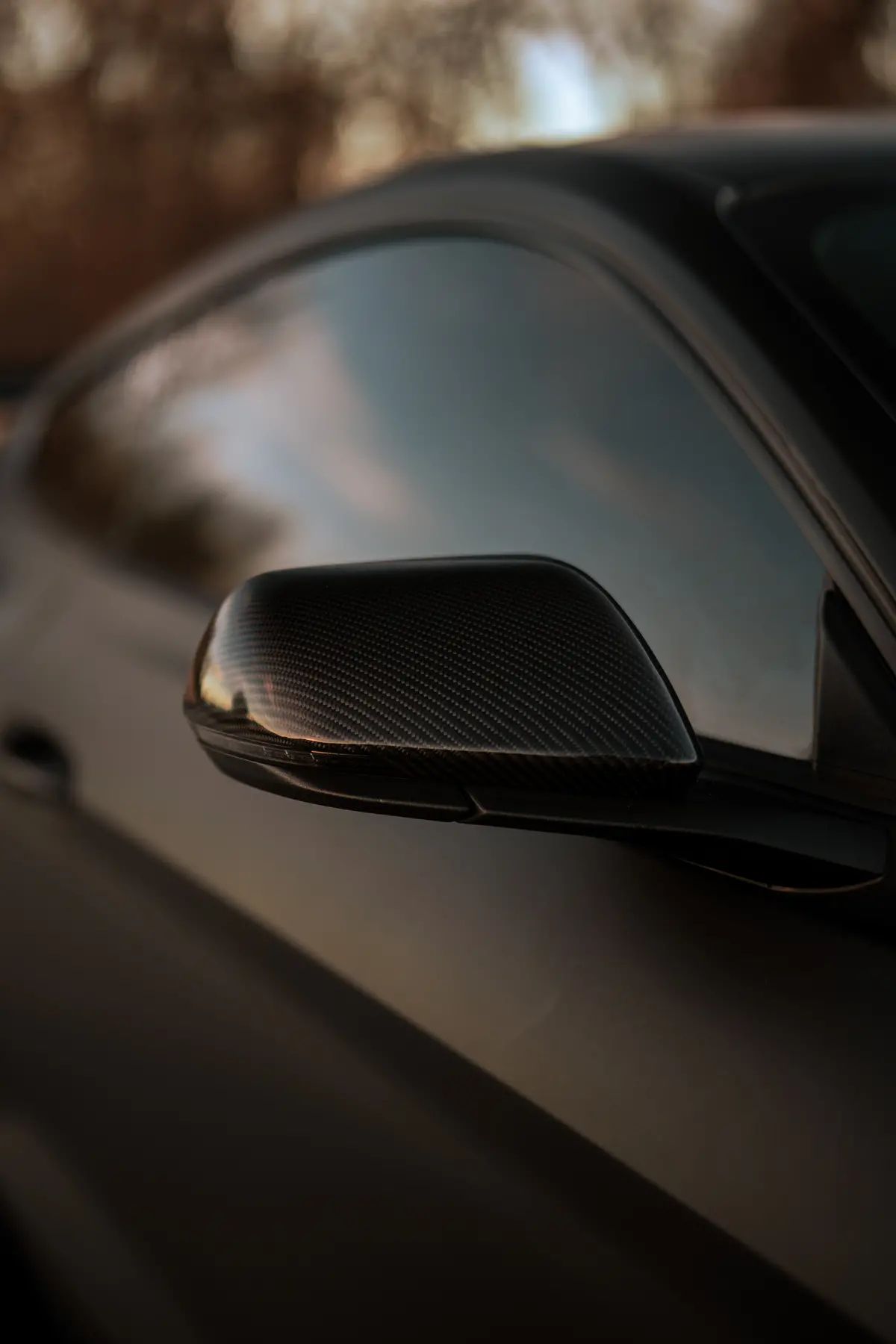 Ford Mustang S550 Mirror Caps 1