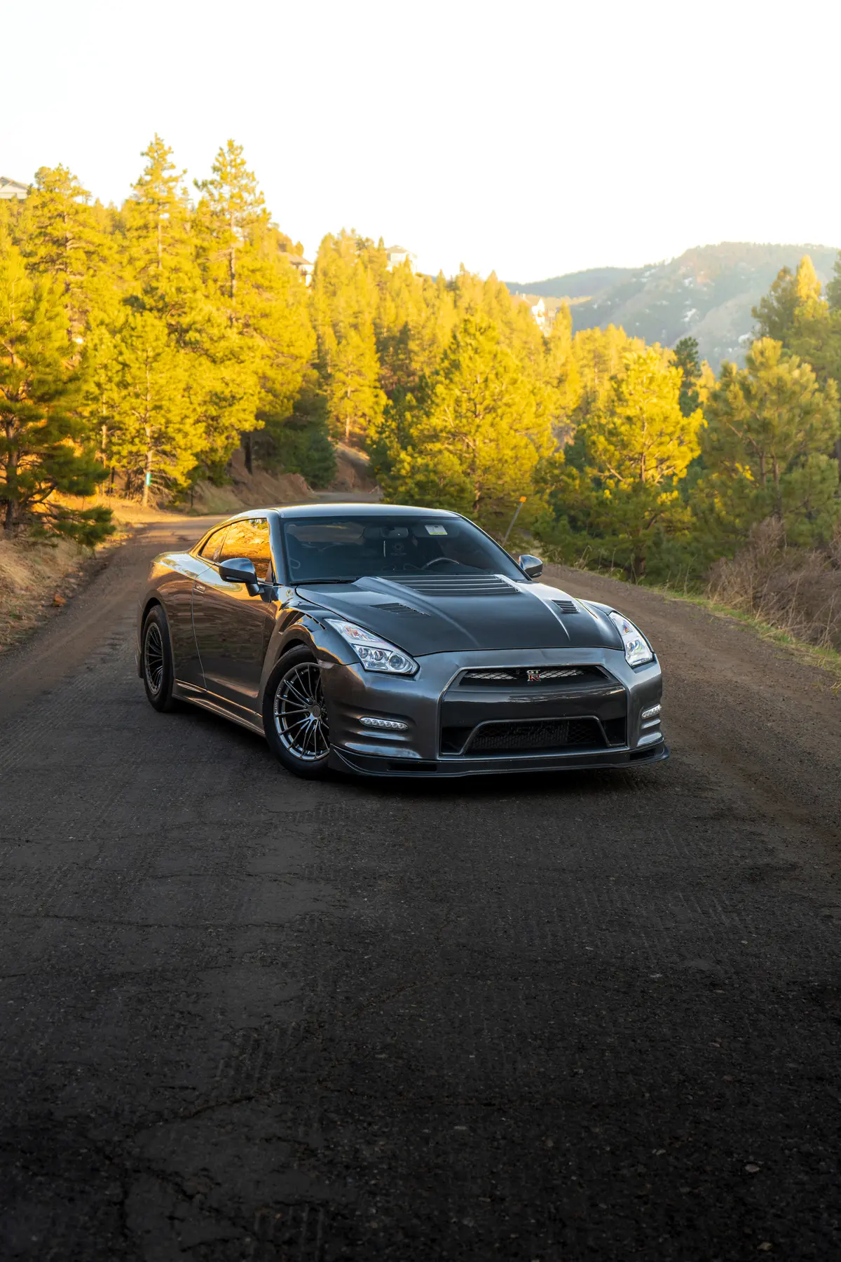 R35 Carbon Fiber Grill Covers (Gloss, Matte, Forged) (2012-2016) 1