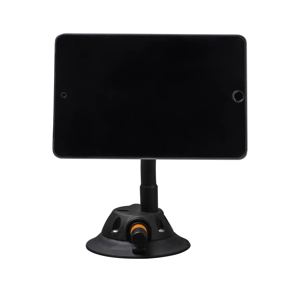 Naked Flex Mount 1