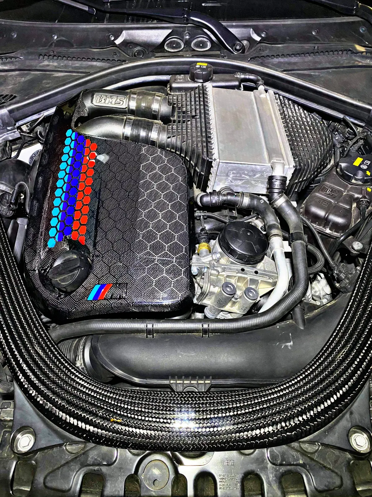 Bmw M2/M3/M4 S55 Trucarbon Engine Cover 1