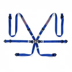 Arnes Martini 6Pt P-3"-4 All Pu 1
