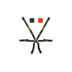 Arnes Profi 2X2 Pull-Up 1