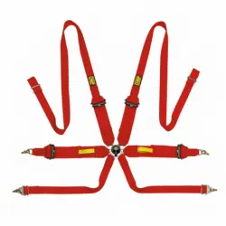 Arnes Seguridad Tecnica 3"+2" Pull Up Fia 8853-2016 1
