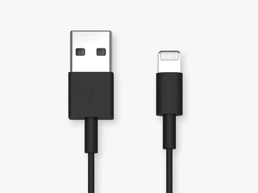 Quad Lock Usb-A To Apple Lightning Cable - 20Cm 1