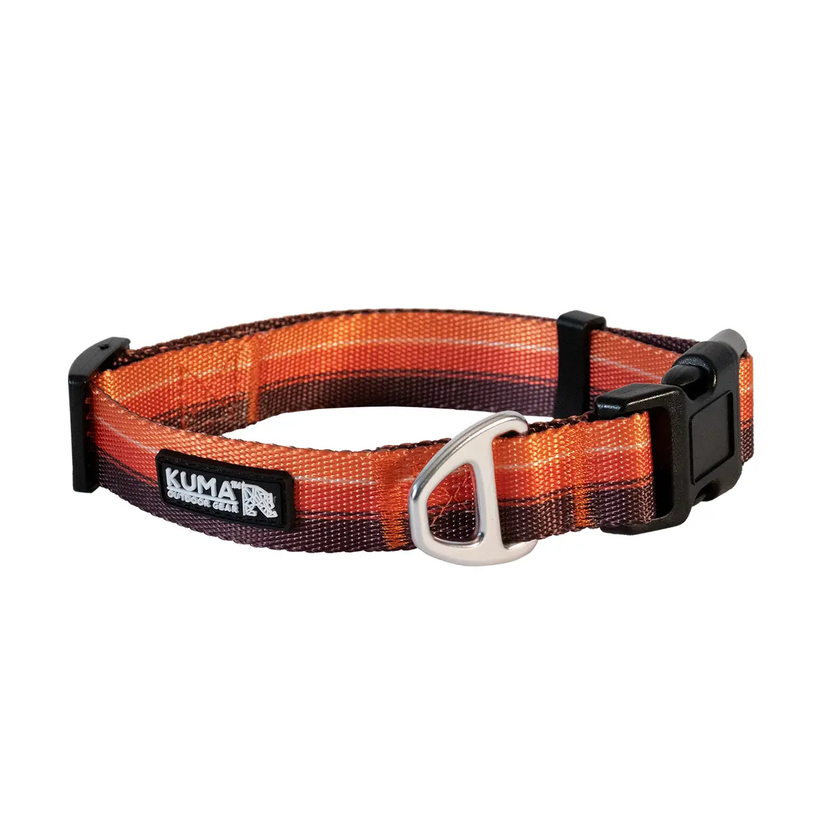 Backtrack Dog Collar 1