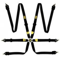 First 2" Safety Arnes Fia 8853-2016 Pull Up - Steel Adj. 1