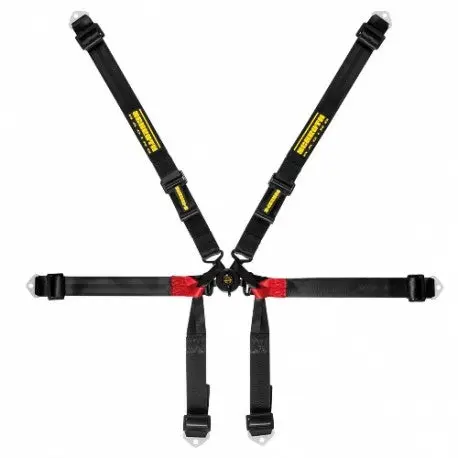 Arnes Formula 2X2 Fcf Específico Schroth 1