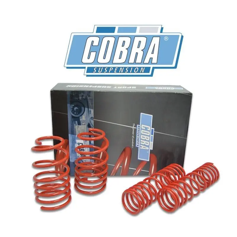 Muelles Deportivos Cobra 76.9920 1