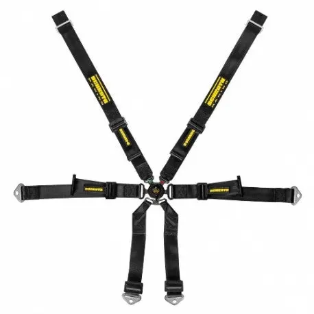 Arnes Profi Porsche 981 2X2 Fcf Específico Schroth 1