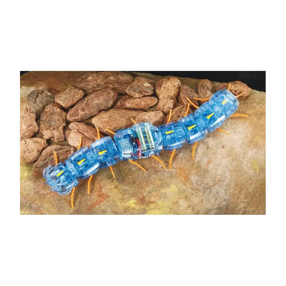 Tamiya Centipede Robot 2